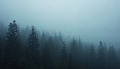 A thick fog enveloped the trees in the forest