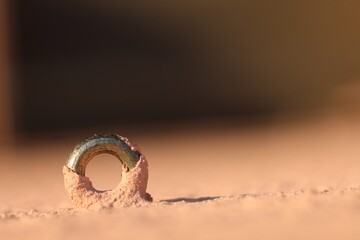 Urban Contrast: Metal Ring Against Painted Wall
A robust metal ring is mounted on a textured, painted wall