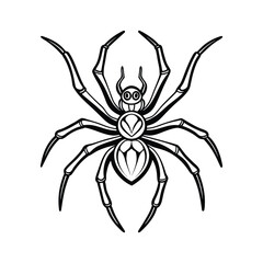 Creepy Spider Outline Illustration for Halloween on a white background