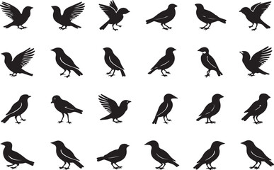 Collection of silhouetted bird illustrations in various poses suitable for design and decorative purposes