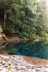 Fototapeta premium Leafy greenery at blue pool oregon