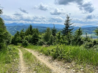 path in the slovak mountains
