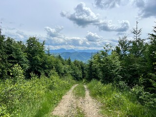 path in the slovak mountains