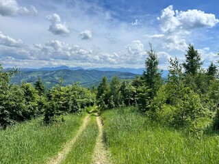 path in the slovak mountains