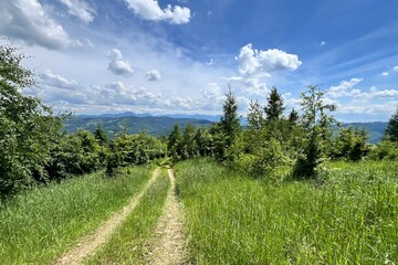 path in the slovak mountains