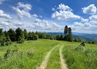 path in the slovak mountains
