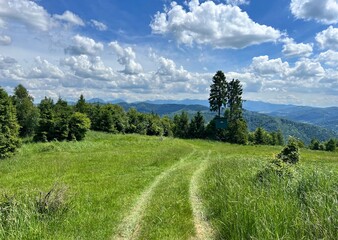 path in the slovak mountains