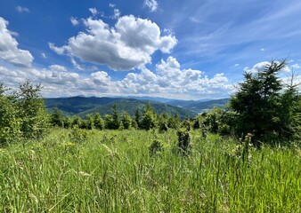 landscape in the Kysuce Mountains