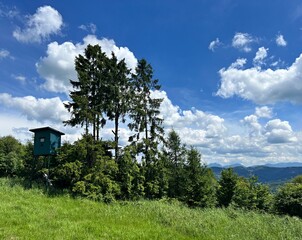 trees and a hunting lodge in the mountains
