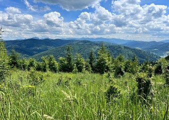 landscape in the Kysuce Mountains