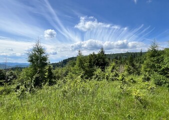 landscape in the mountains with an interesting cloud