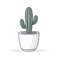 Best Indoor Cactus Guide 2025