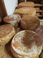 view of an inside of a dairy with racks full of forms of cheese