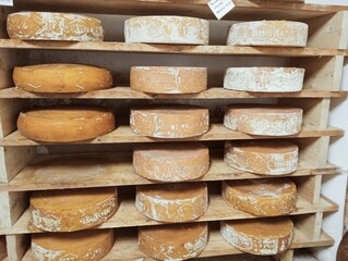  view of an inside of a dairy with racks full of forms of cheese
