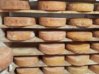 s view of an inside of a dairy with racks full of forms of cheese