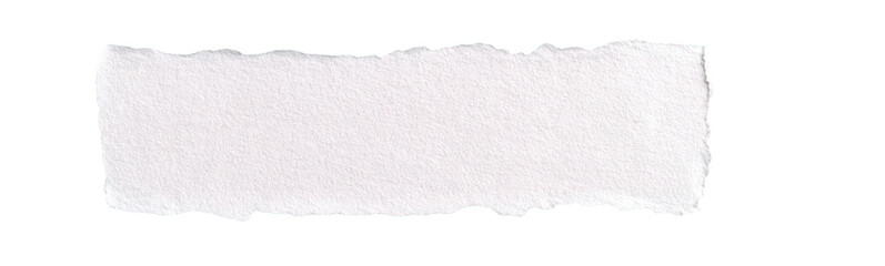 A piece of torn, white paper