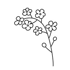 Doodle vector flower contour symbol isolated on a transparent background