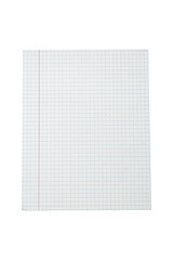 Square sheet of graph paper with blue grid and red margin is isolated.