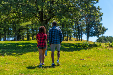 Hikers walking on green meadow in mountain on sunny summer day