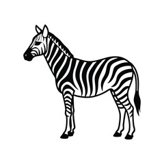 Fototapeta premium A zebra line art vector illustration on white background