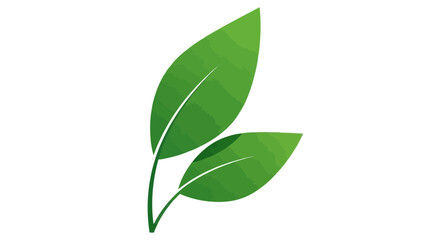 Obraz premium Vector art of two vibrant green leaves with detailed veins, symbolizing growth and nature, isolated on a clean white background