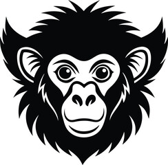 vector illustration of a the monkey