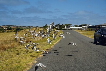 road in the mountains