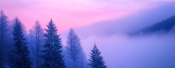 Picture-perfect winter scenery. Winter solstice light in a foggy forest. Horizontal image of an eerie forest. Space for banner copy