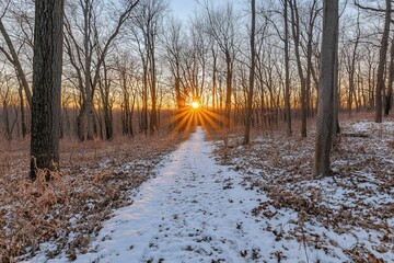 During winter, a bright sunset bathes the snowy path through the forest in warmth