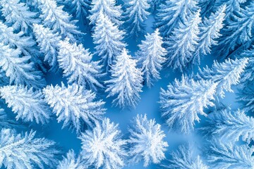 Frosty tendrils envelop a snowy forest during the winter morning