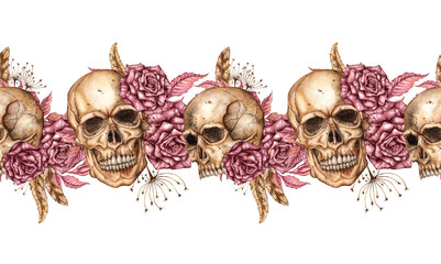 Skull with dark red roses, dried flowers and feathers watercolor illustration. Bones in gothic style. Day of the Dead, Halloween, Dia de los muertos. Isolated. Pattern horizontal, border, ribbon.