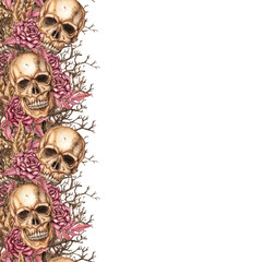 Frame of skulls, dry branches, burgundy roses, feathers and leaves, square with left border. Watercolor illustration in gothic style. Isolated. For Halloween and day of the dead.