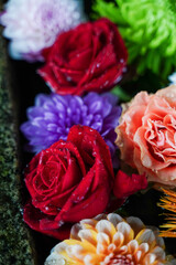 Fototapete bei efototapeten.de bestellen   