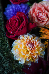 Fototapete bei efototapeten.de bestellen   