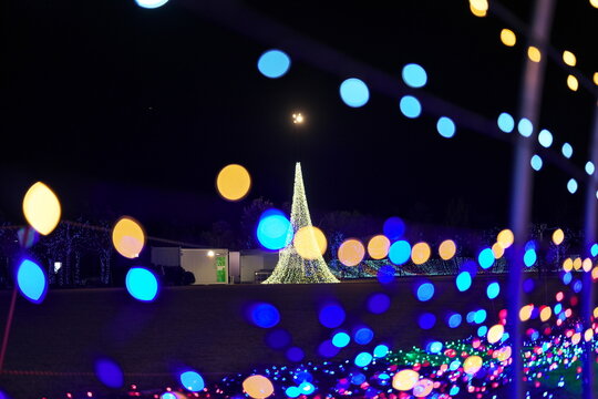 イルミネーション