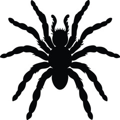 vector illustration of an abstract sun