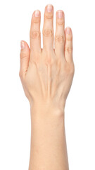 Obraz premium Palm placed flat pressing gesture isolated on white cut out png
