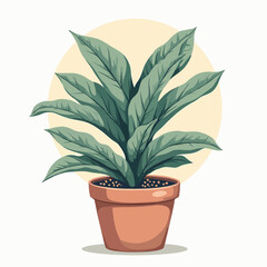 plant in the pot design