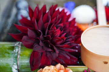 Fototapete bei efototapeten.de bestellen   