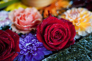 Fototapete bei efototapeten.de bestellen   