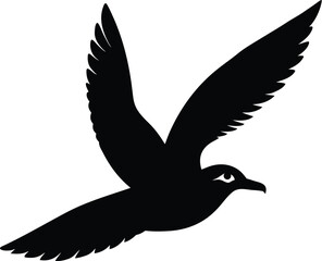 dove isolated on white background