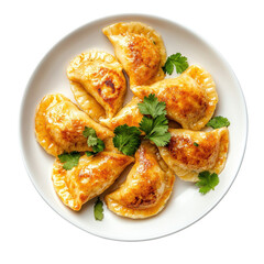 Delicious Golden-Brown Pierogies Served with Fresh Cilantro on a White Plate on transparent background
