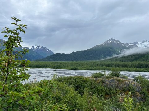 Misty Braided River and Snow-Capped Mountains in Glacier Bay National Park, Alaska – Lush Greenery and Overcast Sky Create a Peaceful Wilderness Landscape