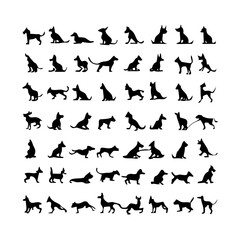 25 Dogs: A Collection of Canine Companions