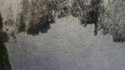 Texture of an old concrete wall with moss and cracks, Creating atmospheric background texture on an old weathered wall