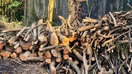 Pile of Logs Ready for Winter, Rural Scene with Stacked Firewood Preparation for the Cold Season