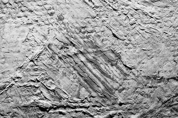 Gray texture of oil paint on canvas close-up. Gray background with rough texture. Abstract grey texture.