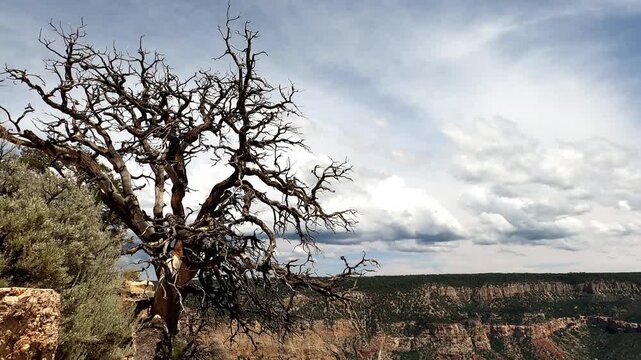 Arizona 1305 Timelapse Crazy Jug Point Grand Canyon National Park