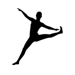 Ballet: The Art of Dance and Graceful Movement