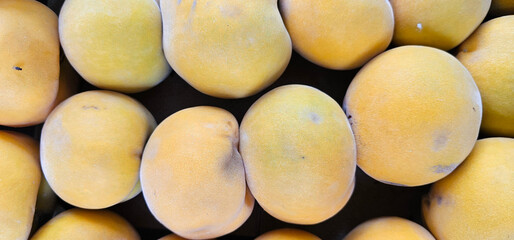 Close-up top view of multiple ripe yellow mangoes arranged in a neat pile. The smooth skin and natural golden color highlight their freshness and tropical appeal.